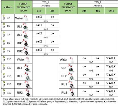Holistic understanding of the response of grapevines to foliar application of seaweed extracts